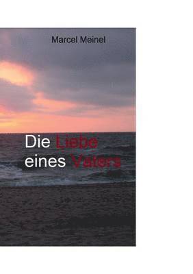 bokomslag Liebe eines Vaters