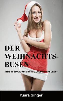 Der Weihnachtsbusen 1