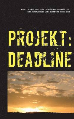 Michelle Deddner, Daniel Frank, Julia Hartmann, Lisa-Marie Kath, Lukas Riemenschneider, Saskia Schmidt, Johanna Staub - Projekt, Häftad