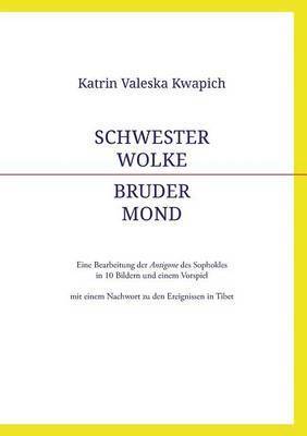 bokomslag Schwester Wolke - Bruder Mond