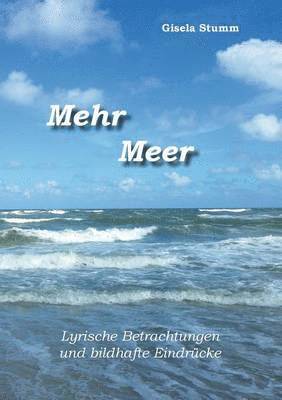 bokomslag Mehr Meer
