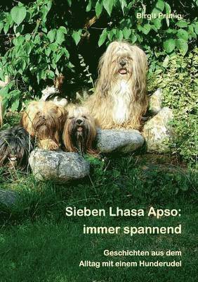 bokomslag Sieben Lhasa Apso