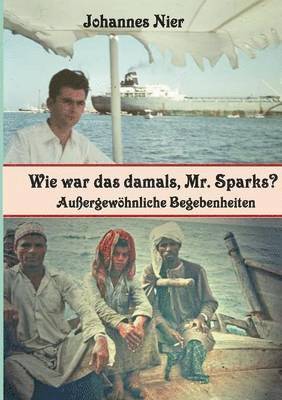 bokomslag Wie war das damals, Mr. Sparks?