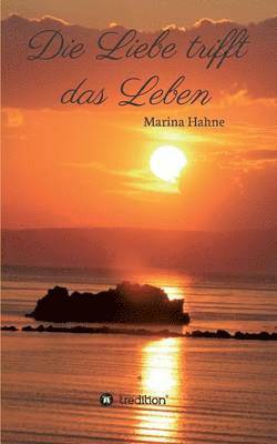 Marina Hahne - Die Liebe trifft das Leben, Häftad