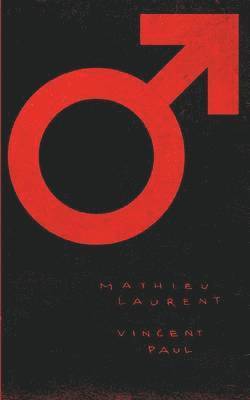 Mathieu Laurent, Vincent Paul - Mann, ein Held., Häftad