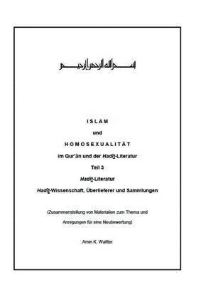 bokomslag Islam und Homosexualitat im Qur'an und der Hadit-Literatur