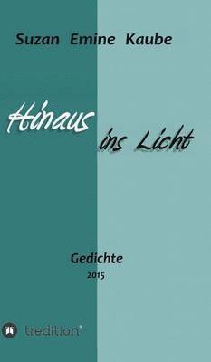 bokomslag Hinaus ins Licht