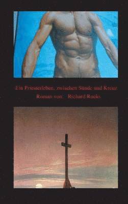 bokomslag Priesterleben, zwischen Sünde und Kreuz