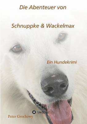 bokomslag Die Abenteuer von Schnuppke Kaluppke und Wackelmax von Ü.