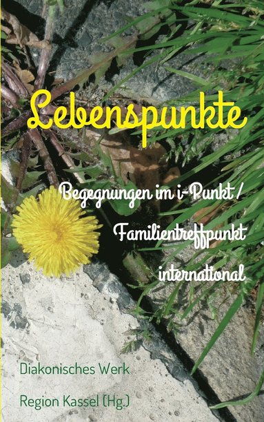 bokomslag Lebenspunkte