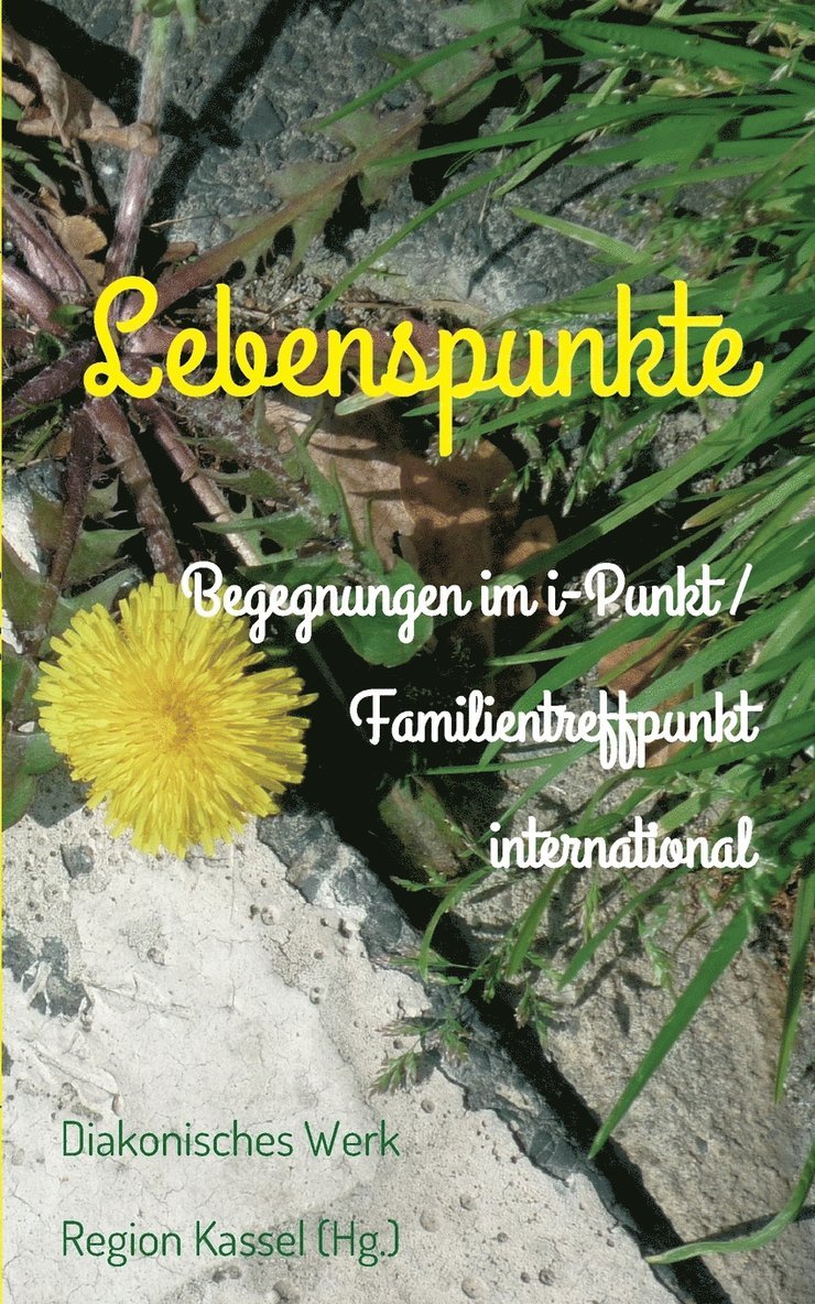 Diakonisches Werk Region Kassel (Hg ), Diakonisches Werk Region Kassel (Hg )., Diakonisches Werk Region Kassel (Hg.), Diakonisches Werk Region Kassel (Hg. - Lebenspunkte, Häftad