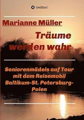 Trume werden wahr, Band 2 1