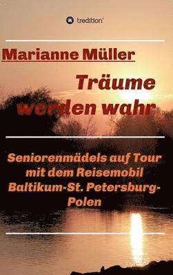 Träume werden wahr, Band 2