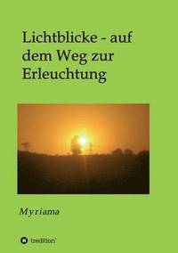 bokomslag Lichtblicke - auf dem Weg zur Erleuchtung