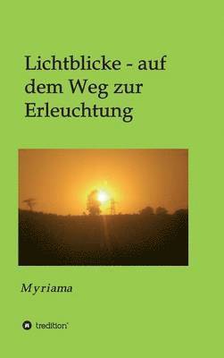 bokomslag Lichtblicke - auf dem Weg zur Erleuchtung