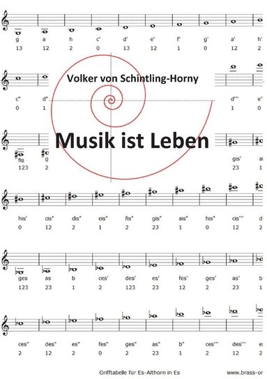 bokomslag Musik ist Leben