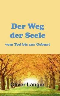 bokomslag Der Weg der Seele vom Tod bis zur Geburt