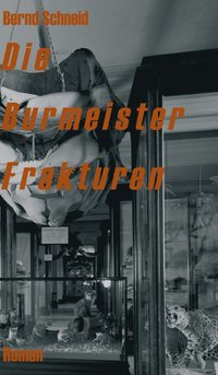 bokomslag Die Burmeister Frakturen