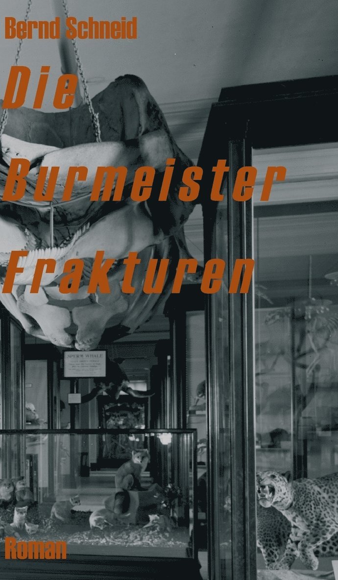 Burmeister Frakturen