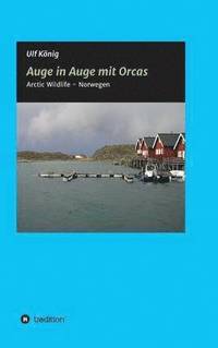 bokomslag Auge in Auge mit Orcas