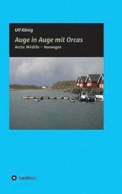 bokomslag Auge in Auge mit Orcas