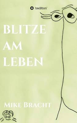 bokomslag Blitze am Leben