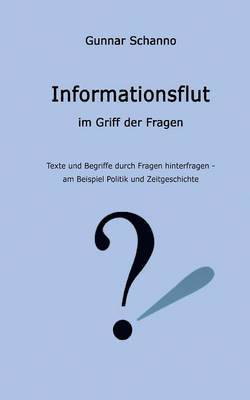 bokomslag Informationsflut im Griff der Fragen