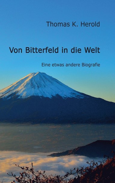 bokomslag Von Bitterfeld in die Welt