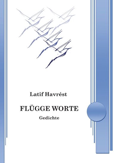 bokomslag Flügge Worte