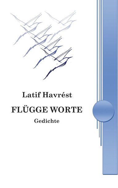 bokomslag Flügge Worte