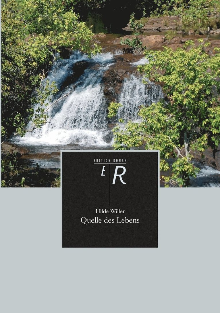Hilde Willer - Quelle des Lebens, Häftad