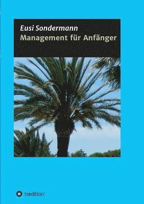bokomslag Management für Anfänger