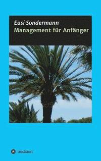 bokomslag Management für Anfänger
