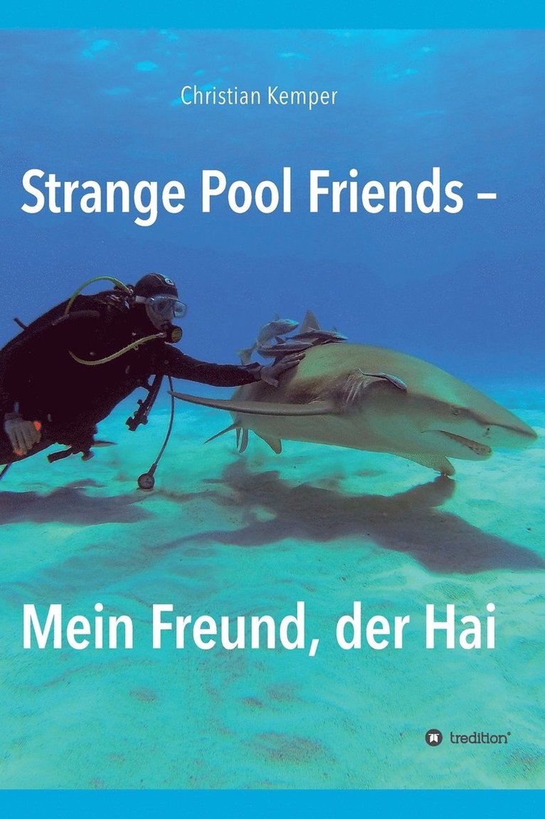 Christian Kemper - Strange Pool Friends, Inbunden