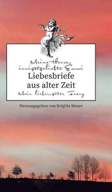 bokomslag Liebesbriefe aus alter Zeit