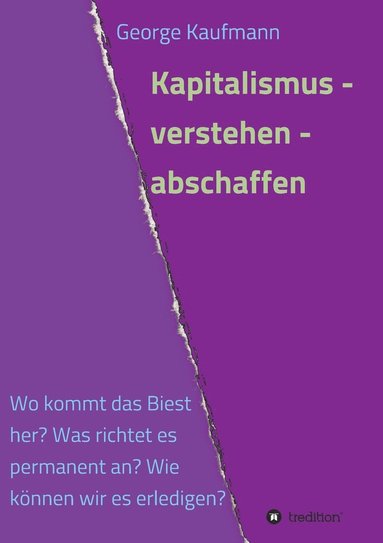 bokomslag Kapitalismus - verstehen - abschaffen