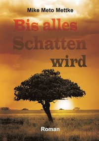 bokomslag Bis alles Schatten wird