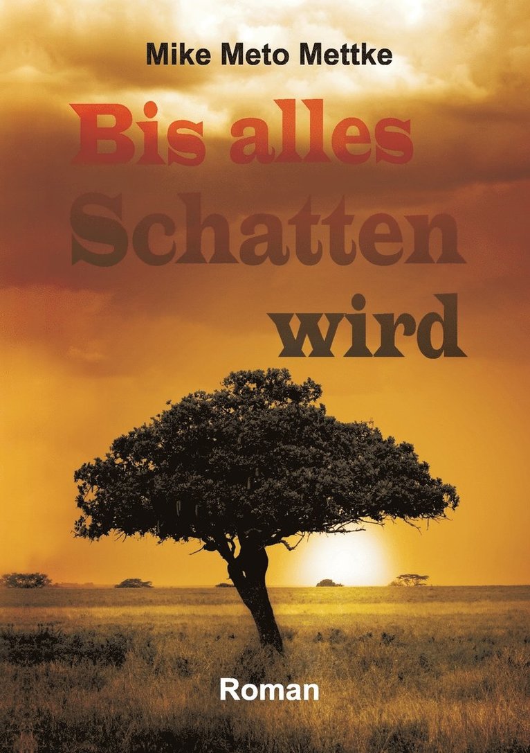 Bis alles Schatten wird 1