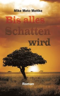 bokomslag Bis alles Schatten wird