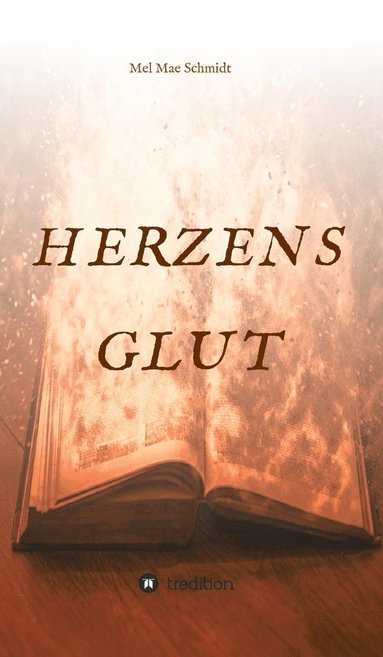 bokomslag Herzensglut