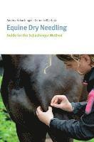 bokomslag Equine Dry Needling