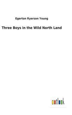 bokomslag Three Boys in the Wild North Land