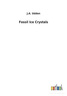 Fossil Ice Crystals 1