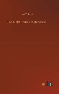 bokomslag Light Shines in Darkness