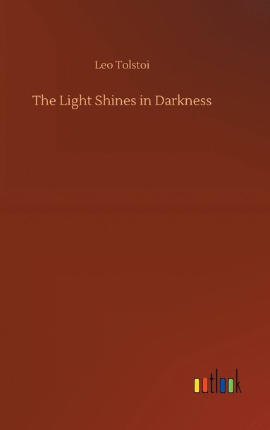 bokomslag Light Shines in Darkness