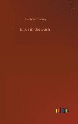 Birds in the Bush 1