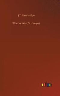bokomslag The Young Surveyor