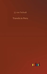 bokomslag Travels in Peru