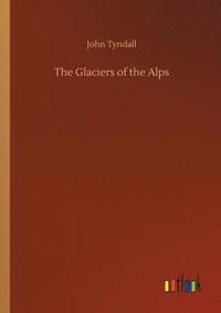 bokomslag Glaciers of the Alps