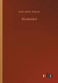 bokomslag Blindfolded